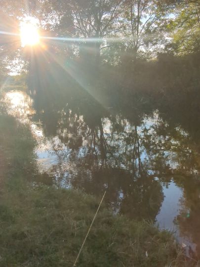 Elstermühlgraben (Zeitz)-2