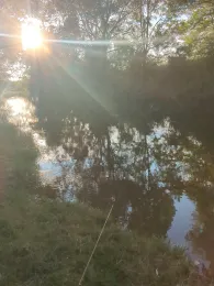 Elstermühlgraben (Zeitz)-2