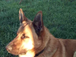 Löcknitz (Lenzen/Elbe)-1