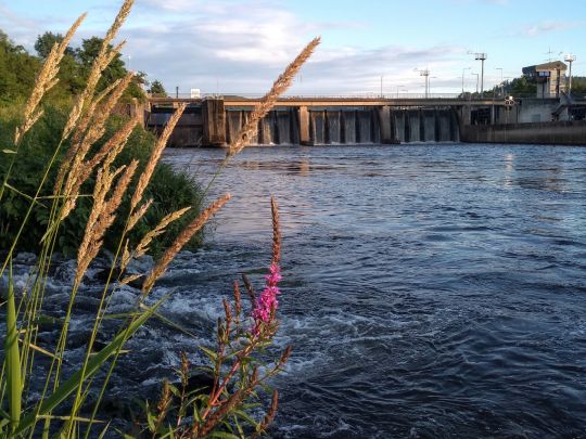 Saar (Rehlingen-Siersburg)-1