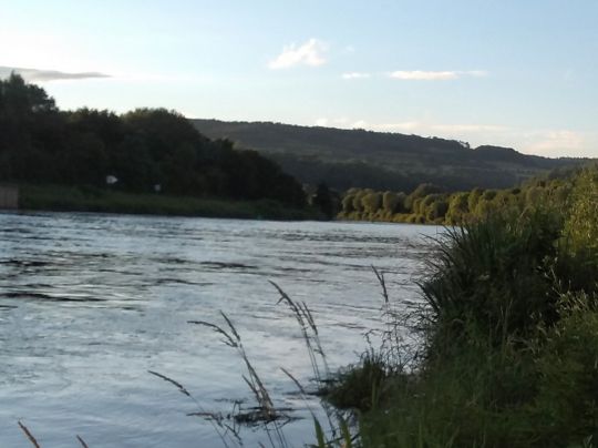 Saar (Rehlingen-Siersburg)-3