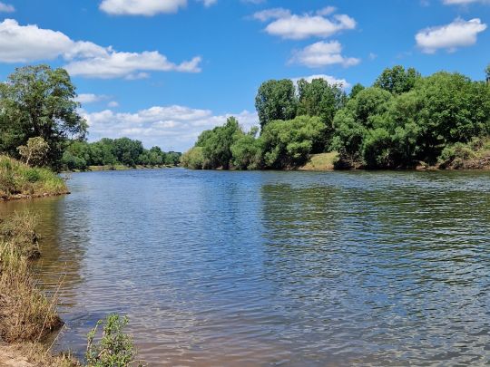 Saar (Rehlingen-Siersburg)-2