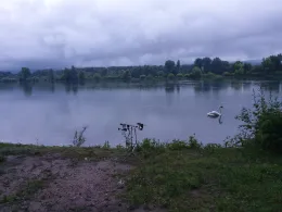 Rhein (Eltville/Heidesheim)-2