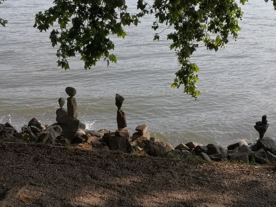 Rhein (Eltville/Heidesheim)-4