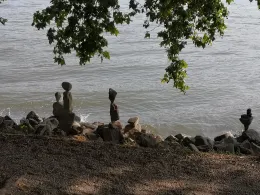 Rhein (Eltville/Heidesheim)-4