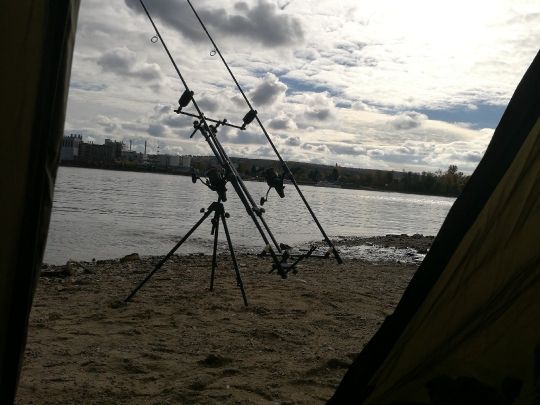 Rhein (Eltville/Heidesheim)-3