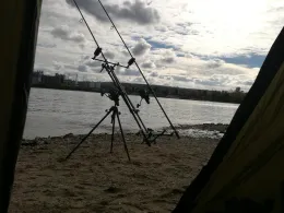 Rhein (Eltville/Heidesheim)-3