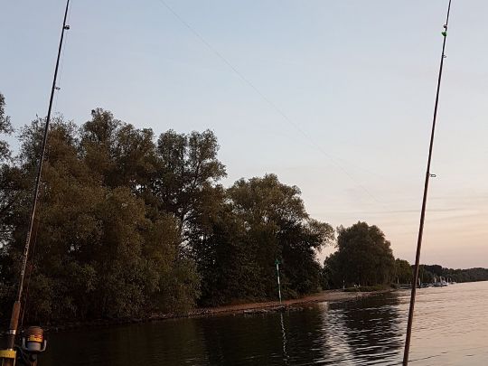 Rhein (Eltville/Heidesheim)-1