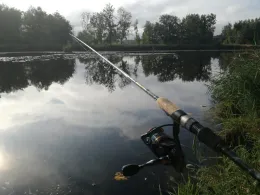 Lohnteich (Wolfshain)-2