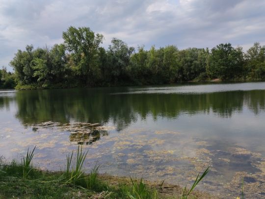 Sassenberg 2 (Rinteln)