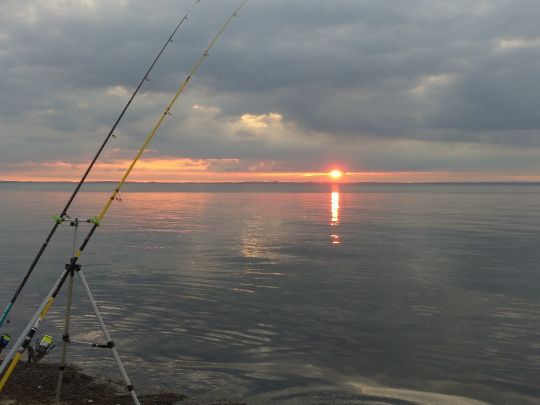 Ostsee (Groß Schwansee)