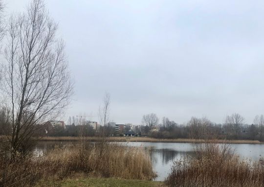 Kiesteiche Ahrbergen-3