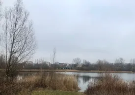 Kiesteiche Ahrbergen-3