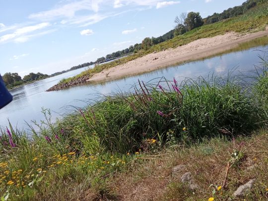 Elbe (Arneburg)-1