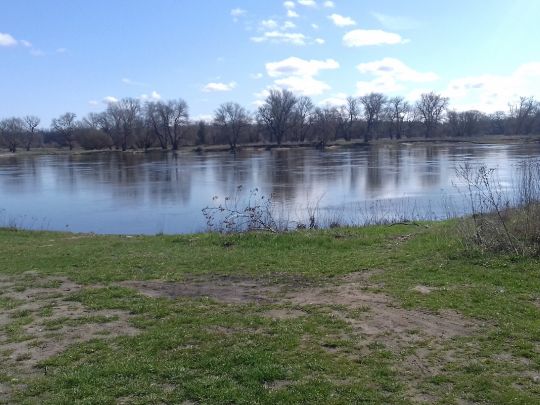 Elbe (Arneburg)-3