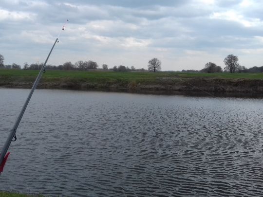 Elbe (Arneburg)-4