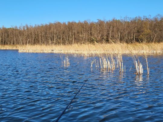 Lubowsee (Zühlsdorf)-4