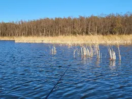 Lubowsee (Zühlsdorf)-4