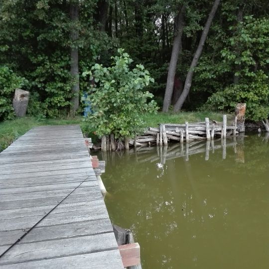 Lubowsee (Zühlsdorf) angeln