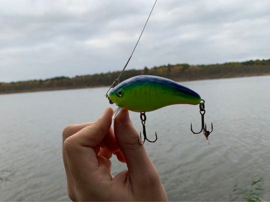 Lubowsee (Zühlsdorf)-3