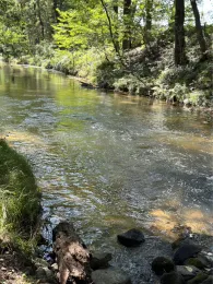 Wesenitz (Bischofswerda)