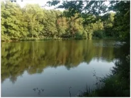 Gemeindeweiher Oberirsen-0
