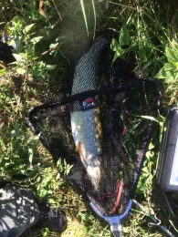 Trave (Sehmsdorf-Reinfeld)-1