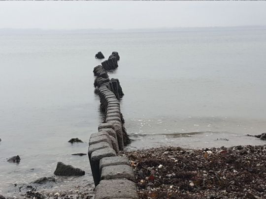 Flensbuger Förde (Westerholz)-1