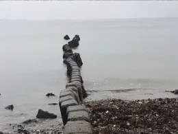 Flensbuger Förde (Westerholz)-1