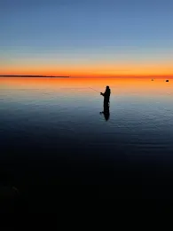 Flensbuger Förde (Westerholz)