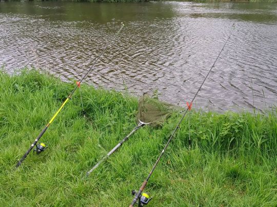 Ilmenau (Winsen/Luhe)-1