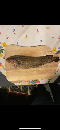 Ilmenau (Winsen/Luhe)-4