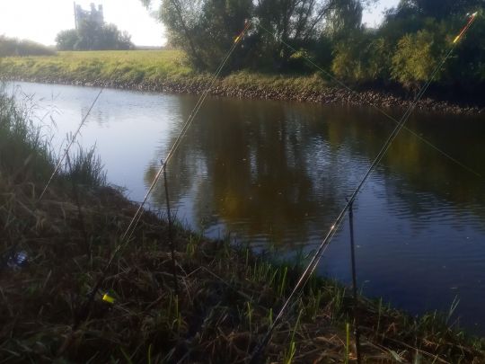 Ilmenau (Winsen/Luhe)-2