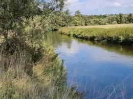 Mühlgraben (Eilenburg)-3