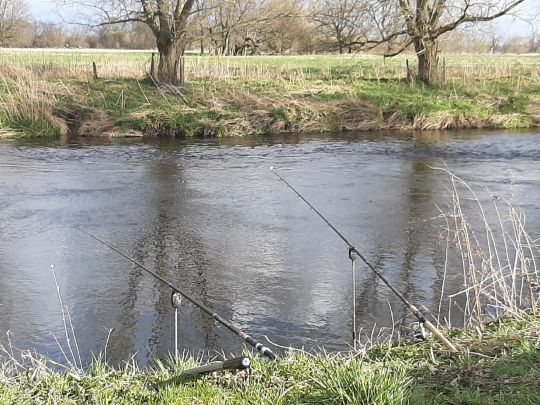 Mühlgraben (Eilenburg)-1
