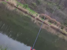 Werra (Witzenhausen)-1