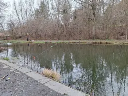 Fischhof Baumüller-4