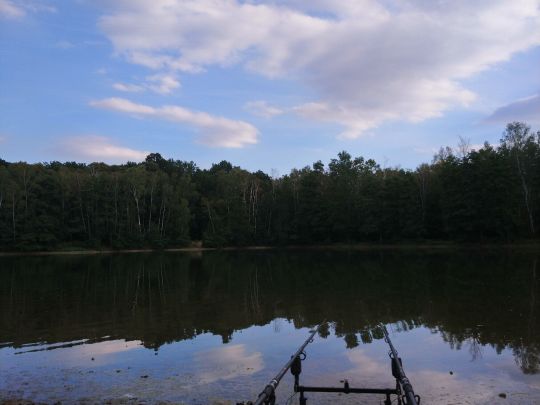 Waldbad Brandis