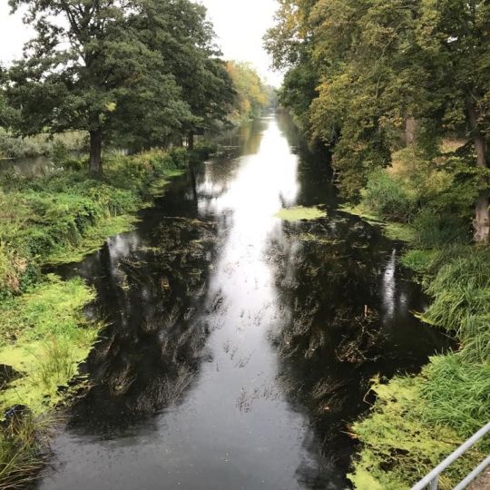 Malzer Kanal (Friedrichsthal) angeln
