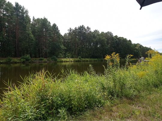Malzer Kanal (Friedrichsthal)-2