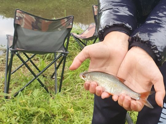 Farbbach (Ochtrup)-1