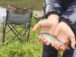 Farbbach (Ochtrup)-1