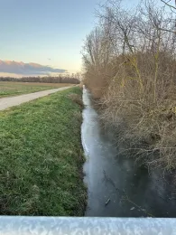 Langer Graben (Gernsheim)