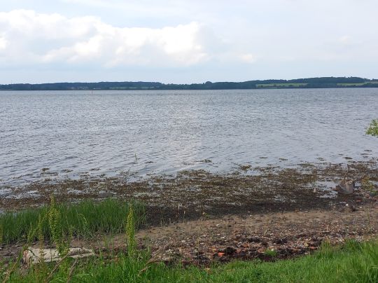 Nybøl Nor (Gravenstein)-4