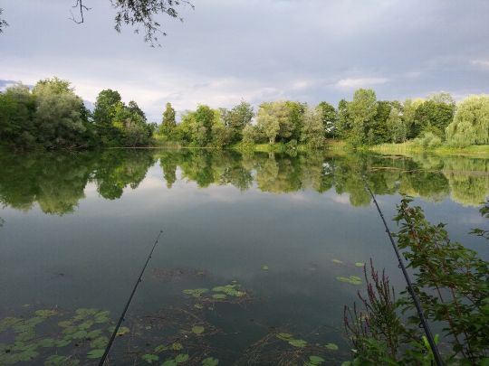 Ausee (Rottenacker)-1