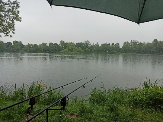 Ausee (Rottenacker)-0