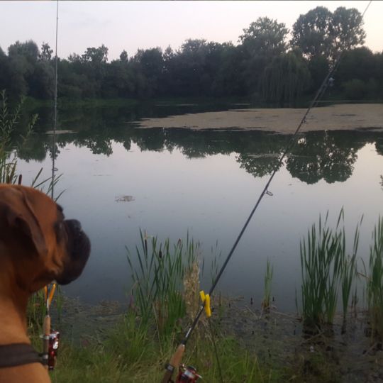 Ausee (Rottenacker)-3