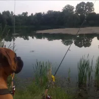 Ausee (Rottenacker)-3