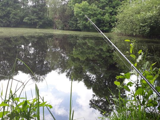 Flachsröstenteich angeln