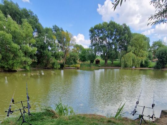Teich Günterode-3